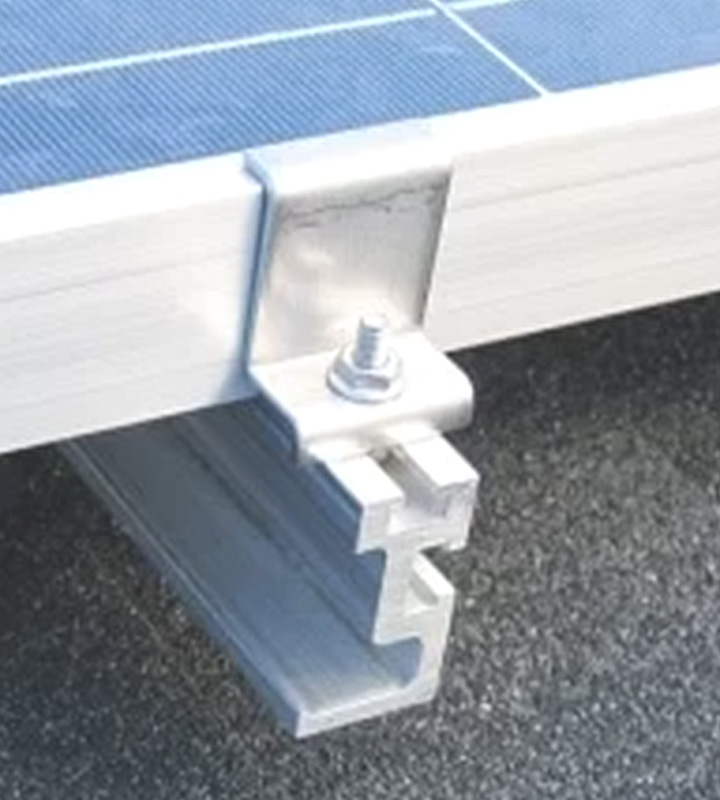 End plank - Image 3