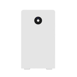 Lithium Ion Battery Deye 16kWh for wall mounting - RW-F16, low voltage